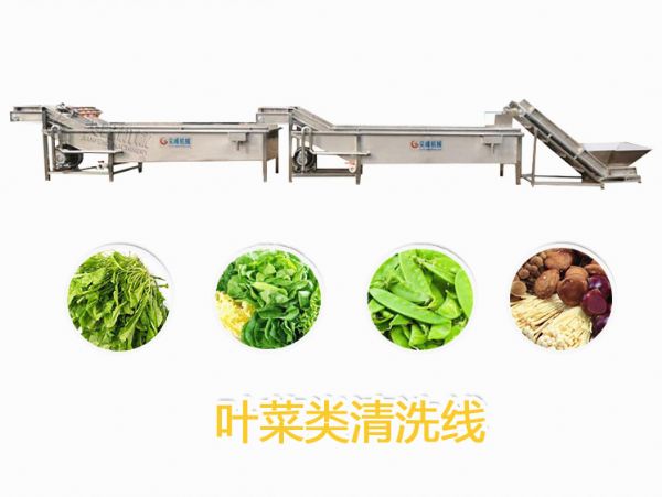 葉菜類洗濯線